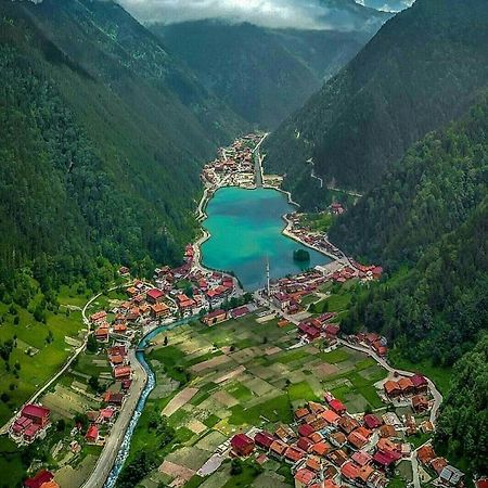 Uzungöl Zahra Apart Hotel Exterior foto